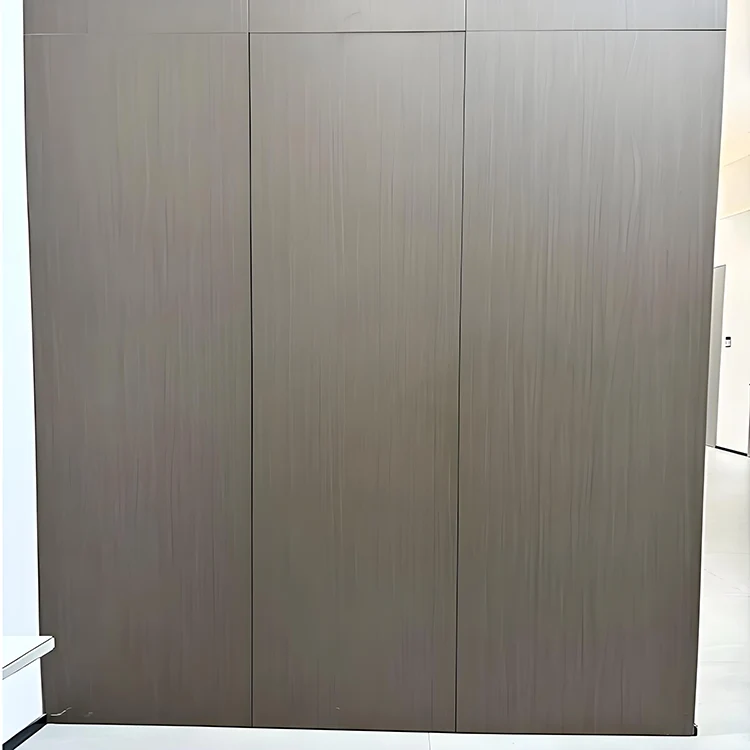 Pintu Tak Terlihat Terintegrasi di Dinding Pintu Tak Terlihat Terintegrasi di Dinding